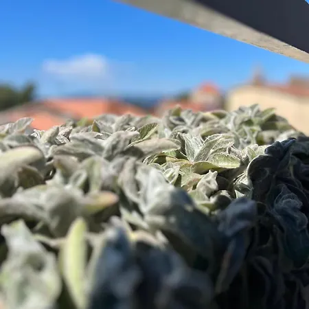 Sunset Apartman Makarska